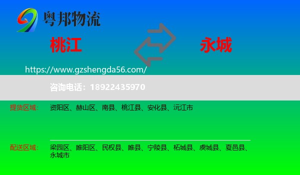 桃江县到永城市物流专线