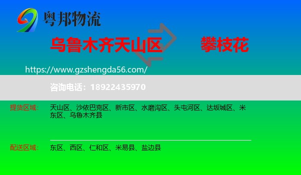 天山区到攀枝花物流专线