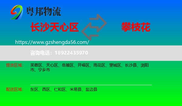 天心区到攀枝花物流专线