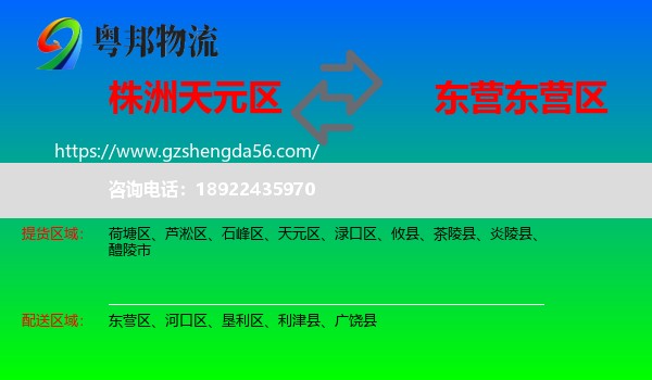 天元区到东营区物流专线