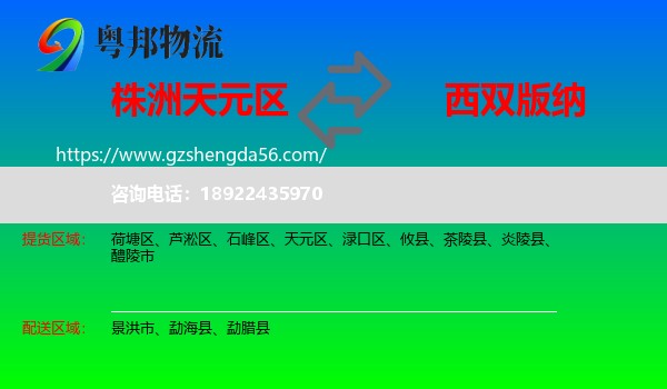 天元区到西双版纳物流