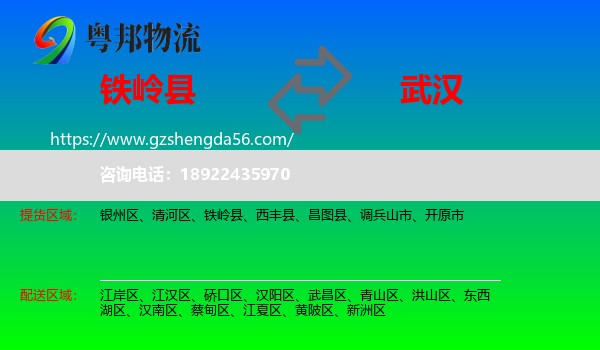 铁岭县到武汉专线