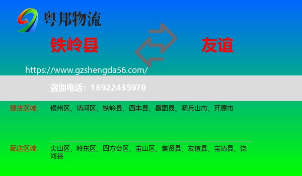 铁岭县到友谊县物流专线