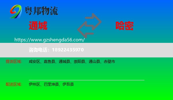 通城县到哈密物流