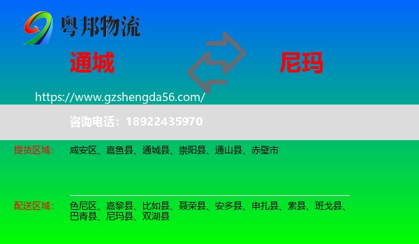 通城县到尼玛县物流专线