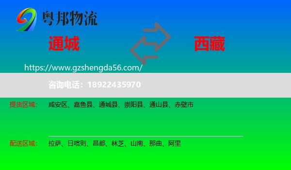 通城县到西藏物流