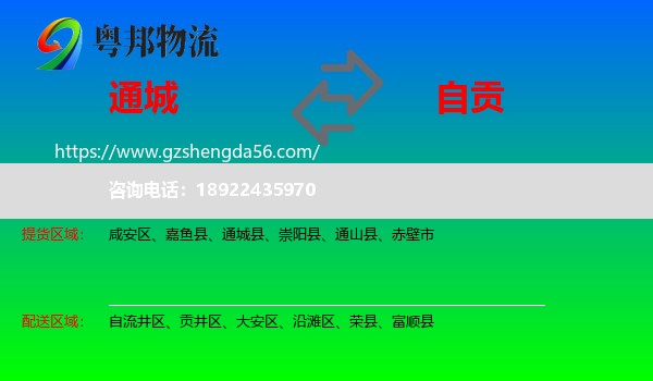 通城县到自贡物流