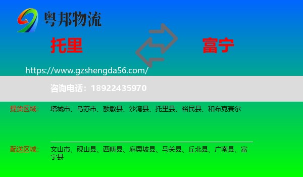 托里县到富宁县物流专线