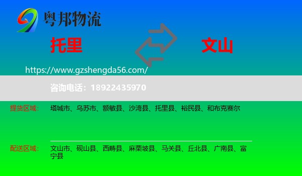 托里县到文山物流专线