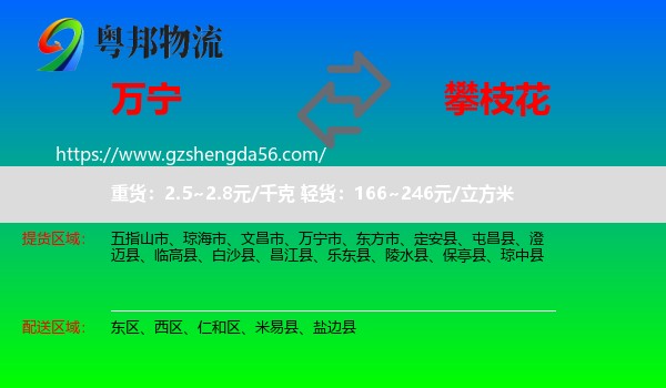万宁市到攀枝花物流专线