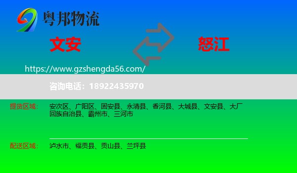 文安县到怒江物流