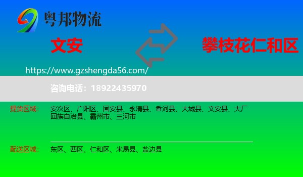文安县到仁和区物流专线