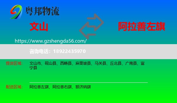 文山到阿拉善左旗物流专线