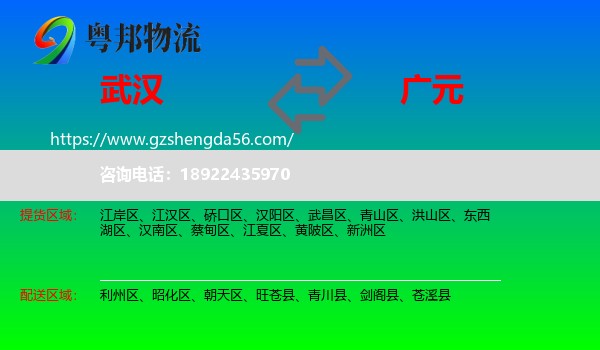 武汉到广元物流