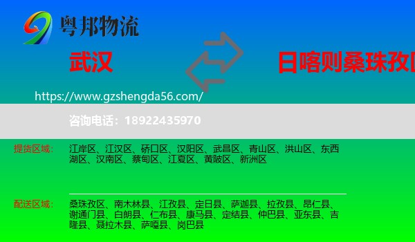 武汉到桑珠孜区物流专线