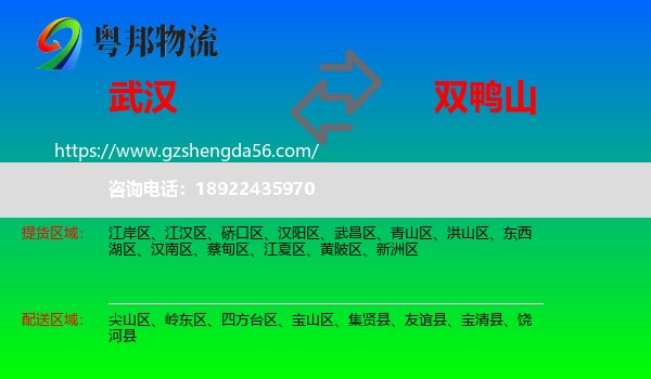 武汉到双鸭山物流