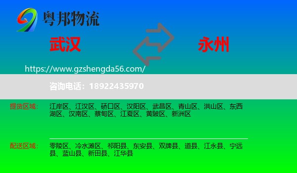武汉到永州物流