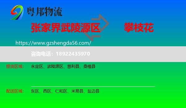 武陵源区到攀枝花物流