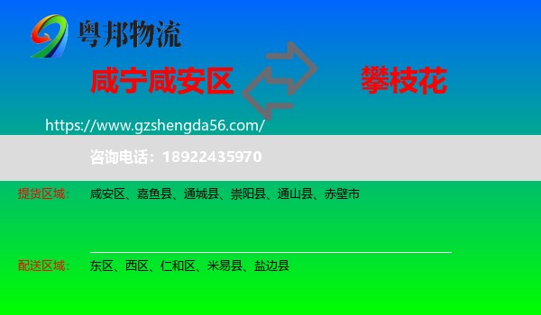 咸安区到攀枝花物流