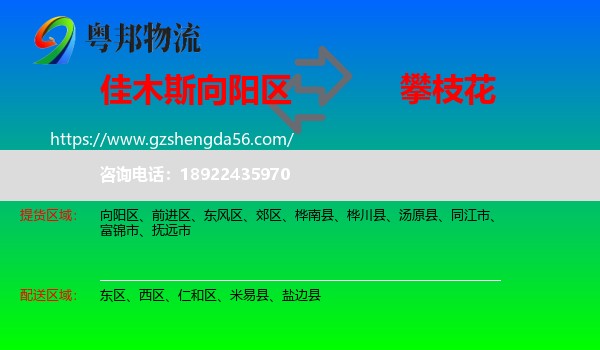 向阳区到攀枝花物流专线