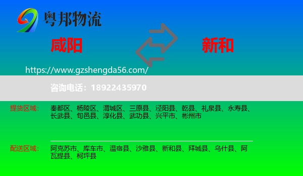 咸阳到新和县物流专线