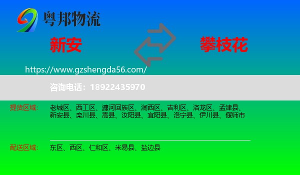 新安县到攀枝花物流
