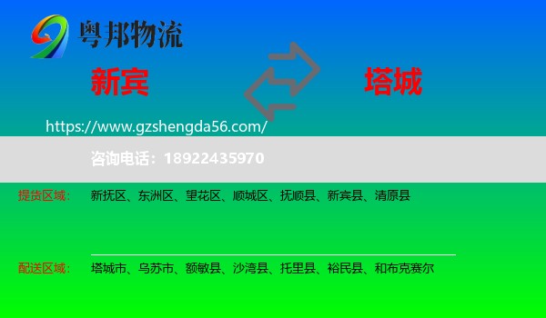 新宾县到塔城物流