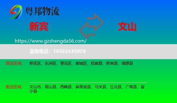 新宾县到文山物流