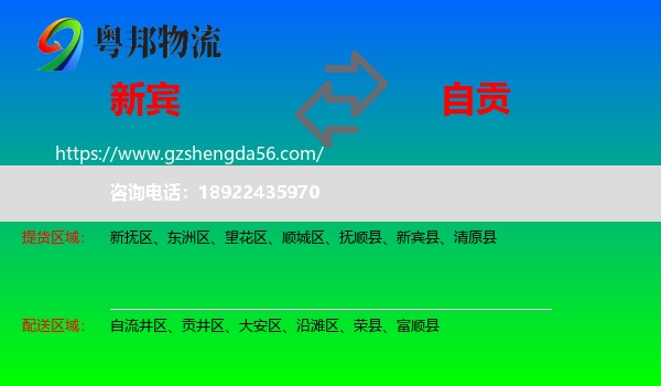 新宾县到自贡物流