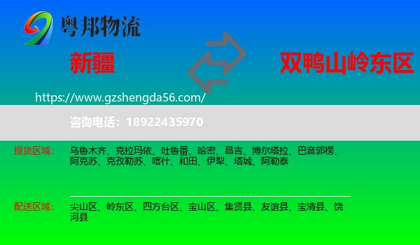 新疆到岭东区物流专线