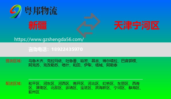 新疆到宁河区物流