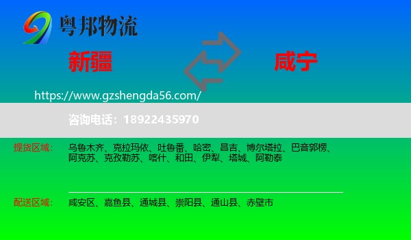 新疆到咸宁物流