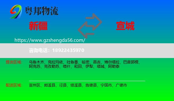 新疆到宣城物流