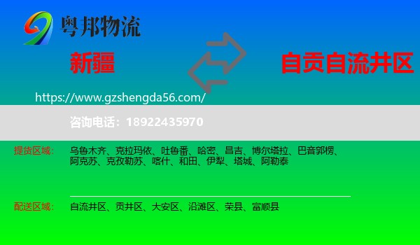 新疆到自流井区物流专线