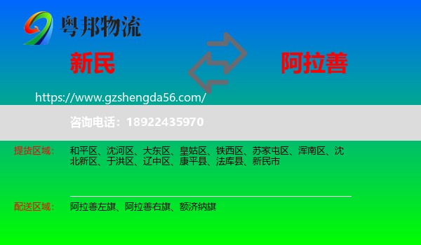 新民市到阿拉善盟物流