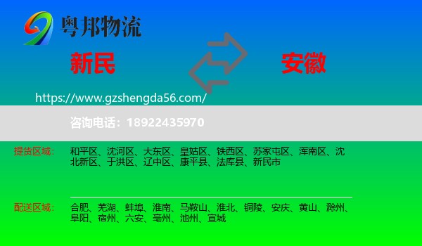 新民市到安徽物流