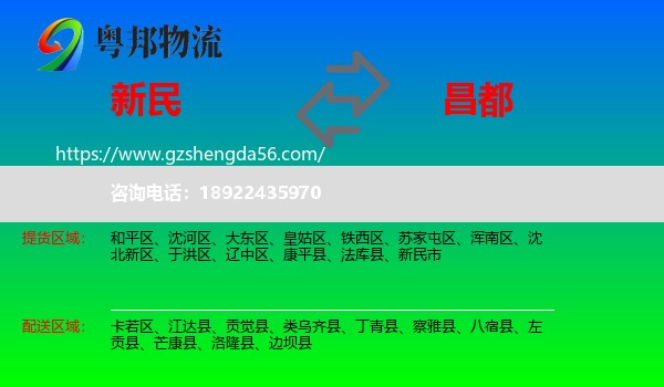 新民市到昌都物流