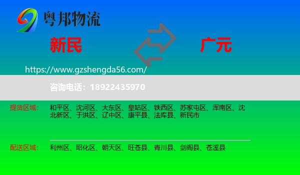 新民市到广元物流
