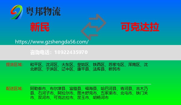新民市到可克达拉市物流专线