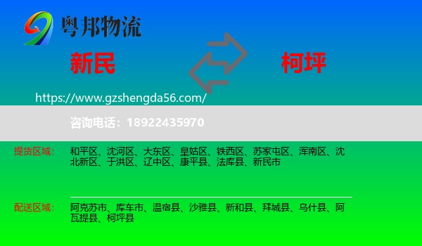 新民市到柯坪县物流专线