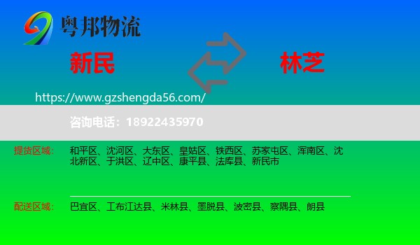 新民市到林芝物流