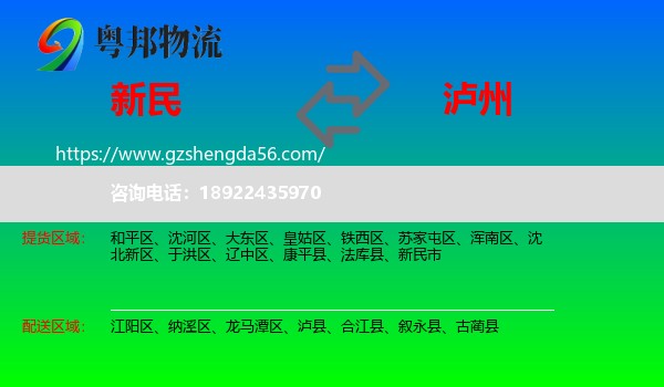 新民市到泸州物流