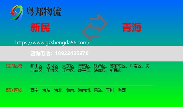 新民市到青海物流