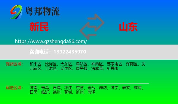 新民市到山东物流