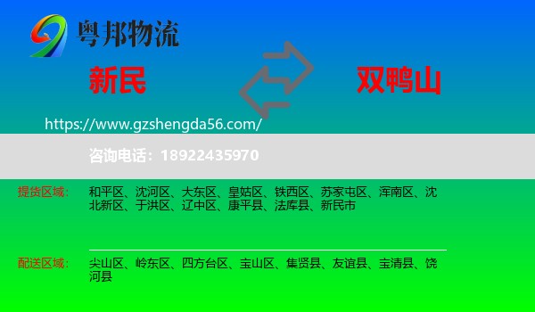 新民市到双鸭山物流