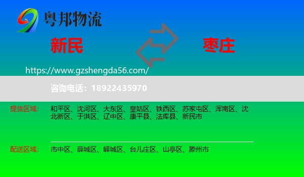 新民市到枣庄物流