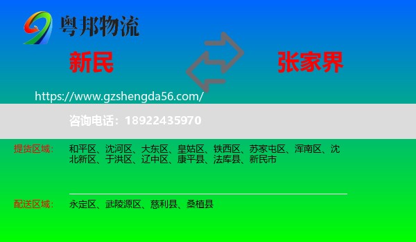 新民市到张家界物流