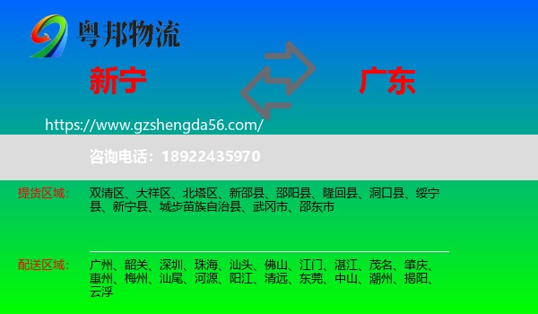 新宁县到广东物流