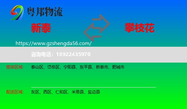 新泰市到攀枝花物流