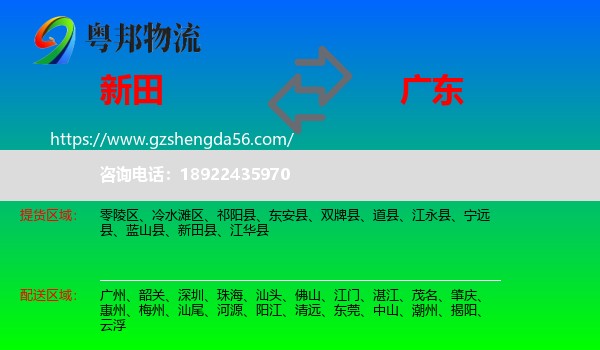 新田县到广东物流专线